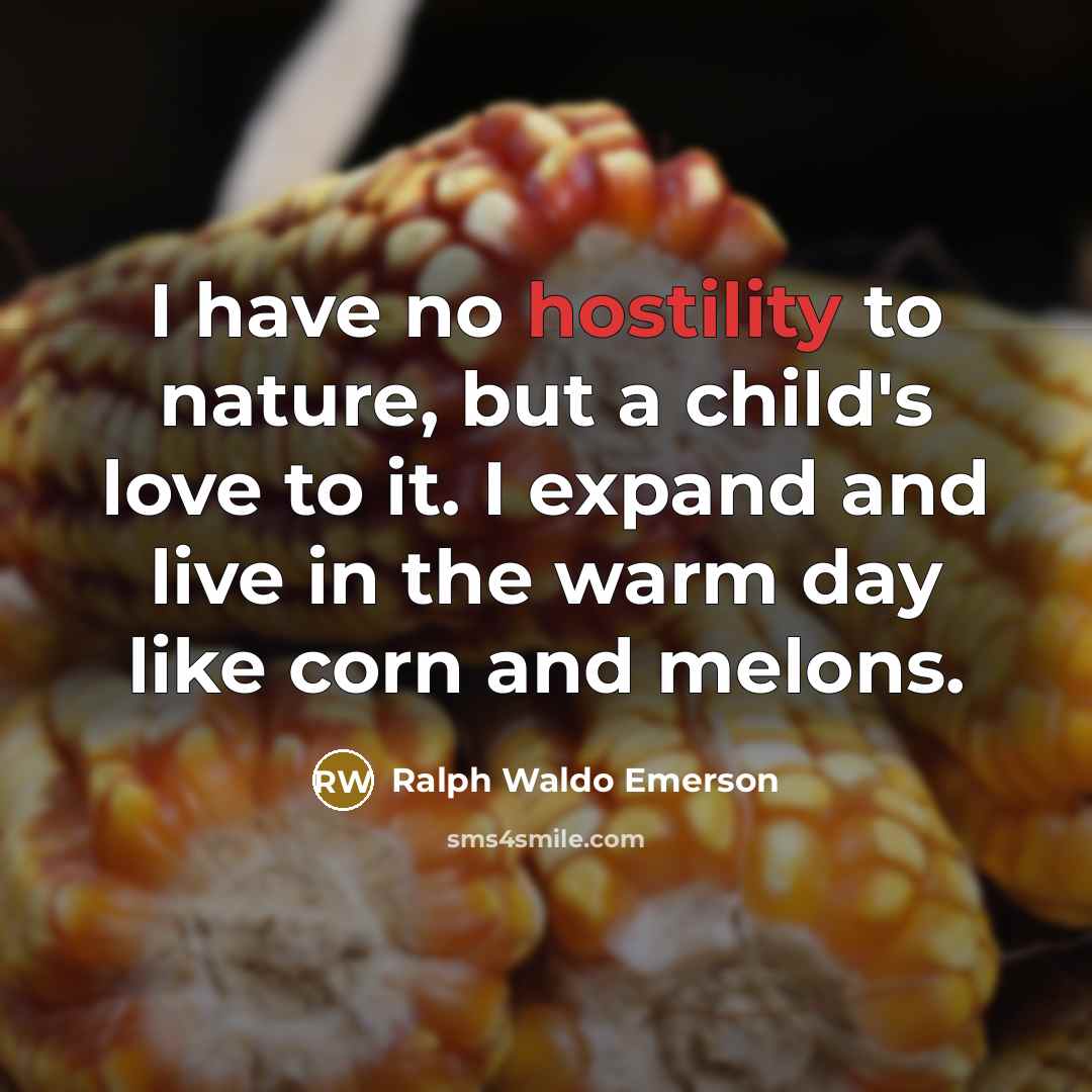 “I have no hostility to nature, but a child's love…” quote by Ralph Waldo Emerson