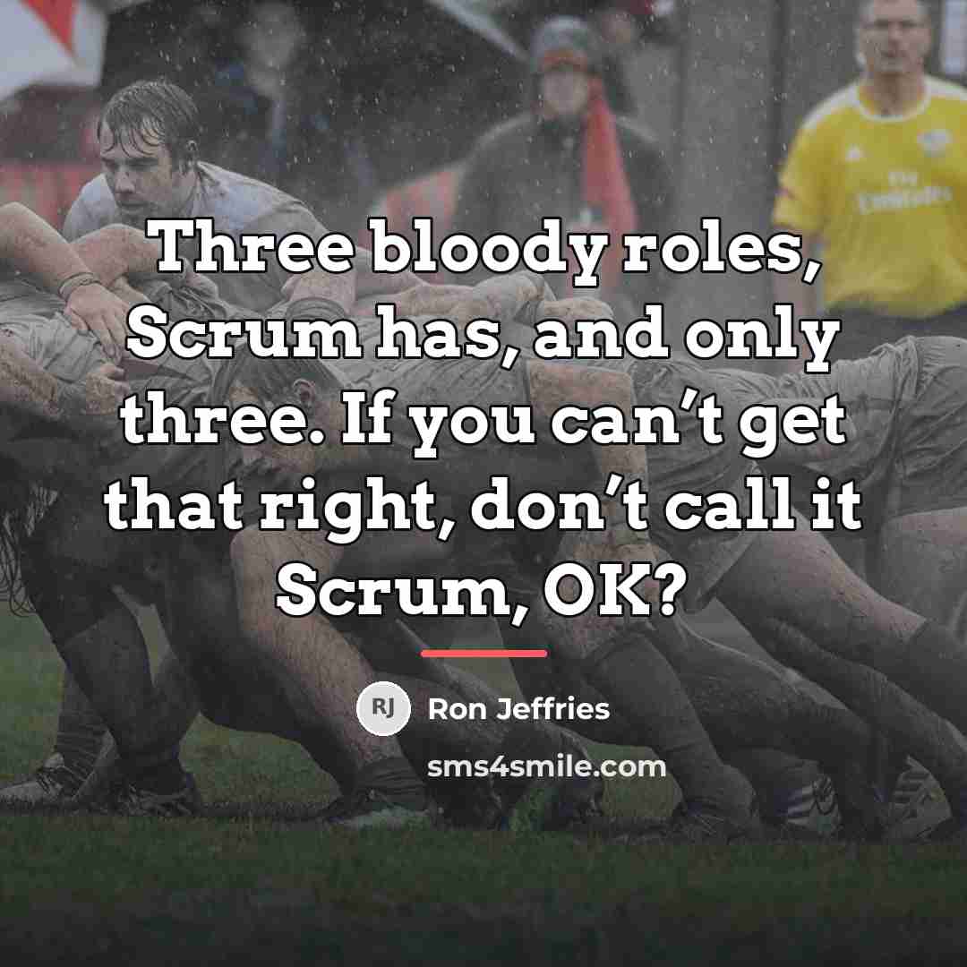 “Three bloody roles, Scrum has, and only three. If you…” quote by Ron Jeffries