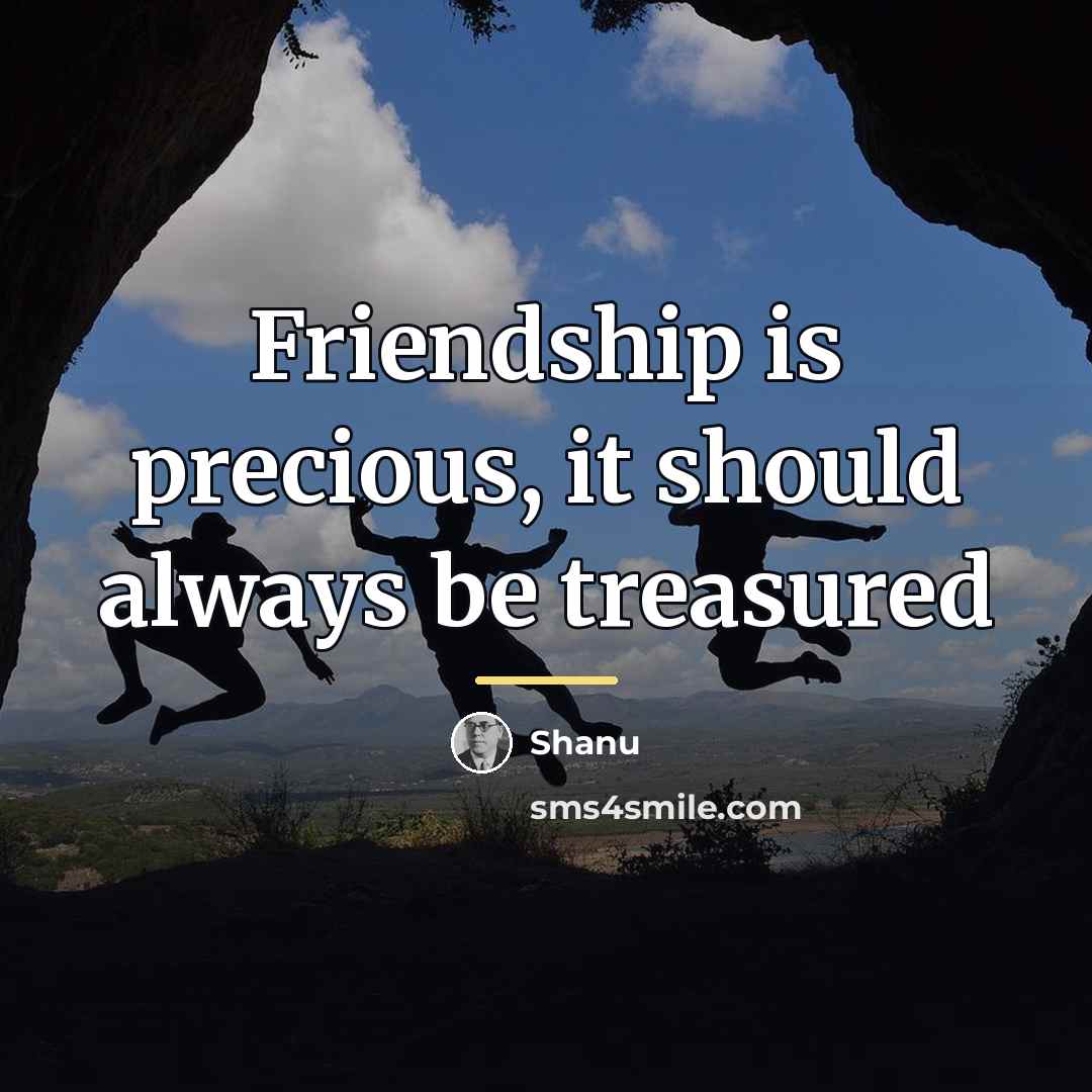 “Friendship is precious, it should always be treasured…” quote by Shanu