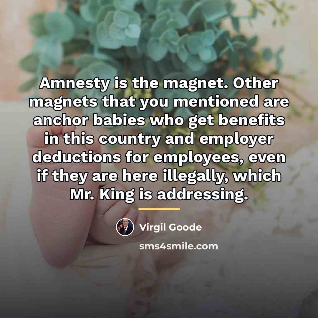 “Amnesty is the magnet. Other magnets that you mentioned are…” quote by Virgil Goode