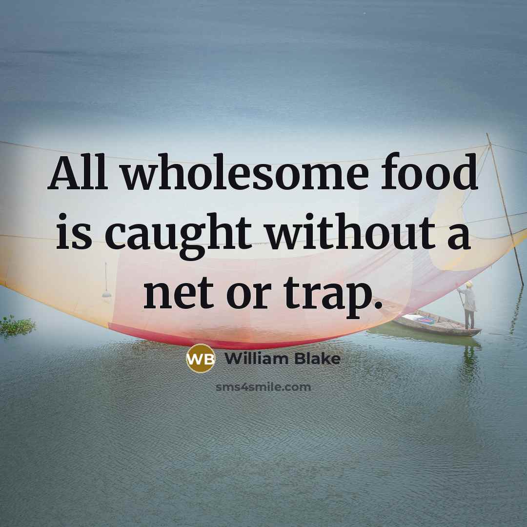 “All wholesome food is caught without a net or trap.…” quote by William Blake