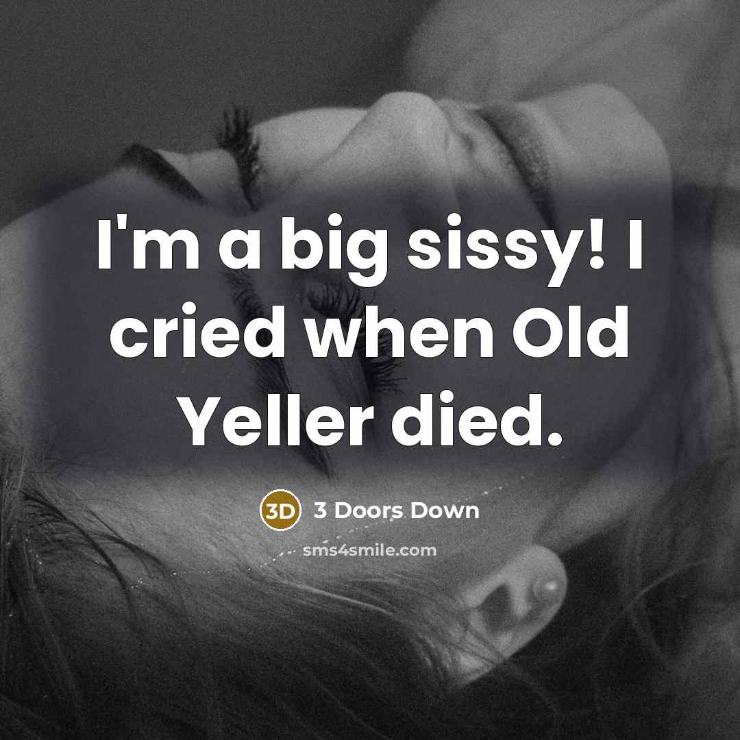 “I'm a big sissy! I cried when Old Yeller died.” quote by 3 Doors Down