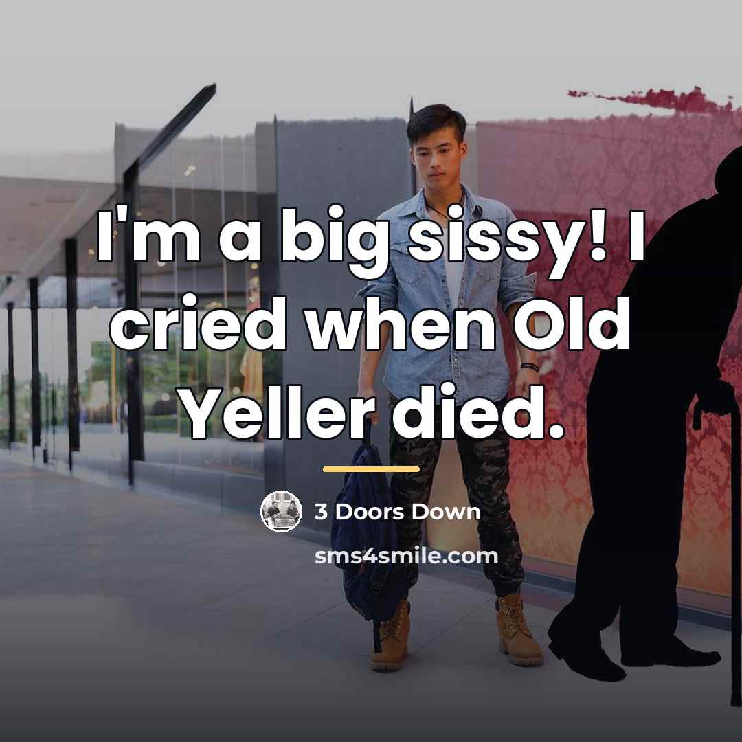 “I'm a big sissy! I cried when Old Yeller died.…” quote by 3 Doors Down
