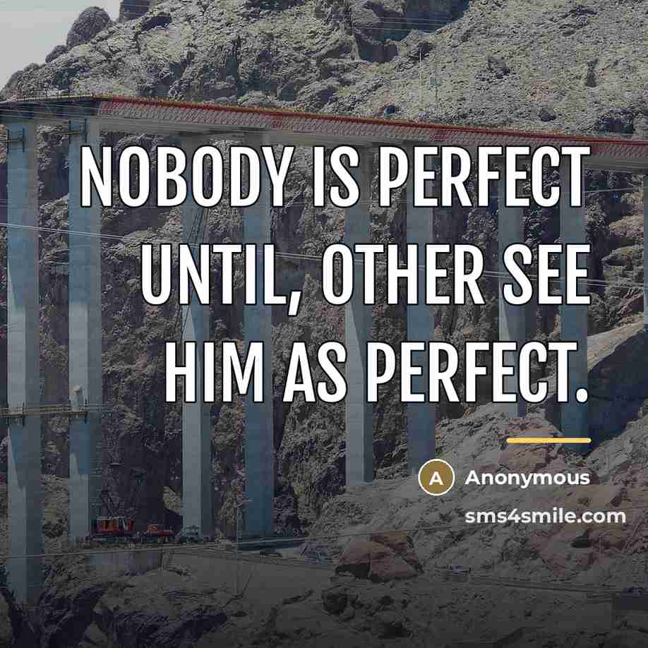 “Nobody is perfect until, other see him as perfect.…” quote by Anonymous