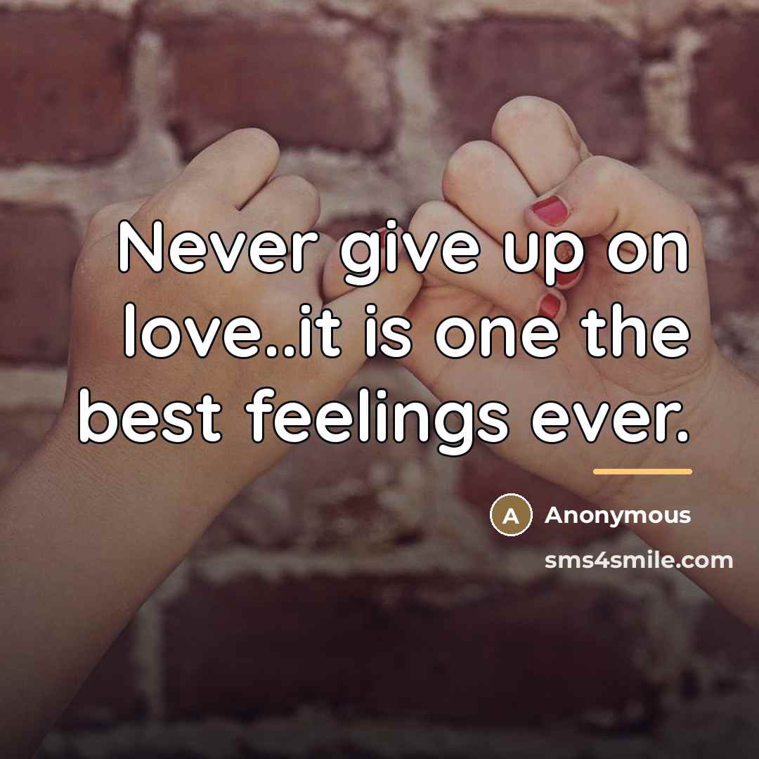“Never give up on love..it is one the best feelings…” quote by Anonymous