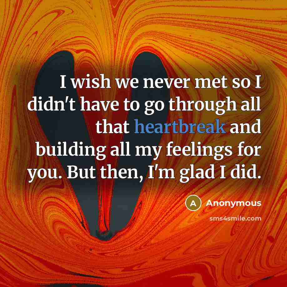 “I wish we never met so I didn't have to go through all that heartbreak and building all my feelings for you. But then, I'm glad I did.” quote by Anonymous