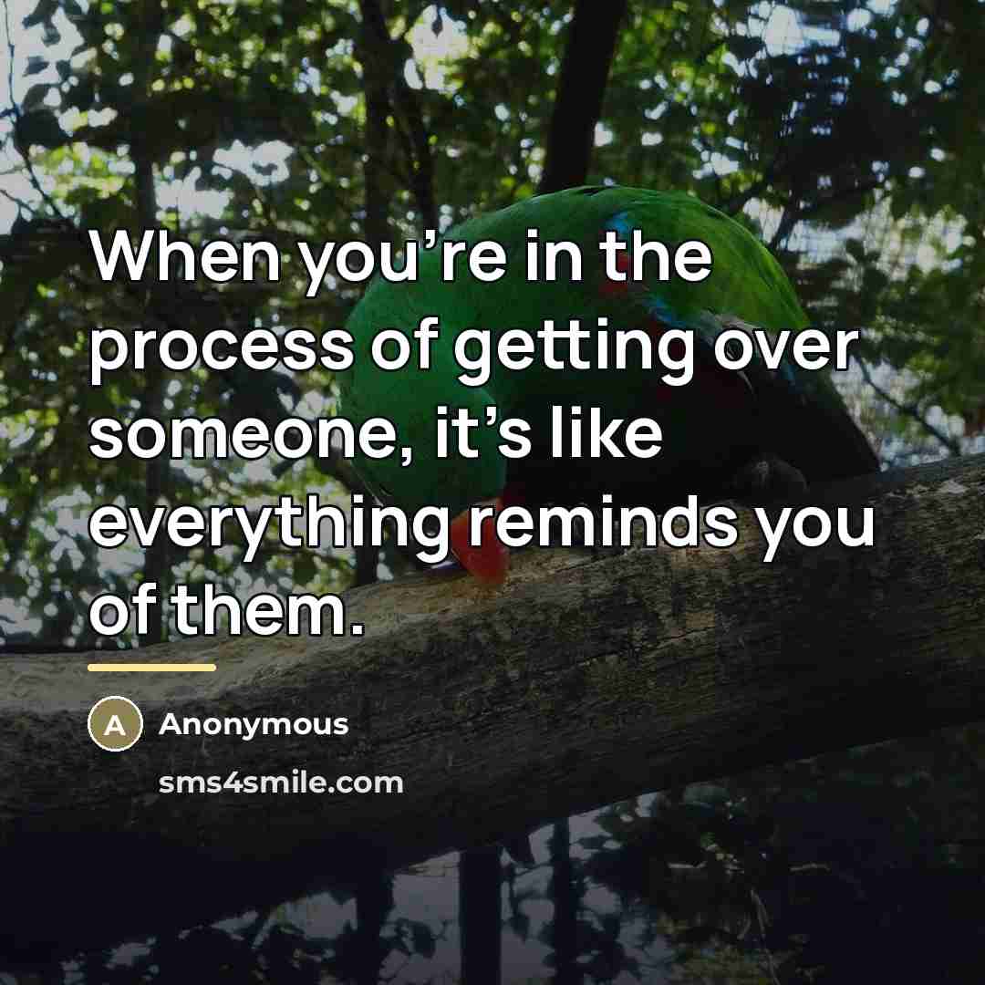 “When you're in the process of getting over someone, it's…” quote by Anonymous