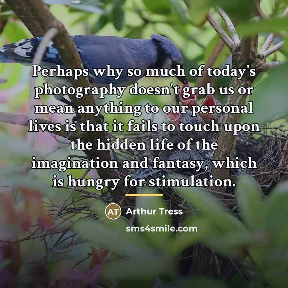 “Perhaps why so much of today's photography doesn't grab us…” quote by Arthur Tress