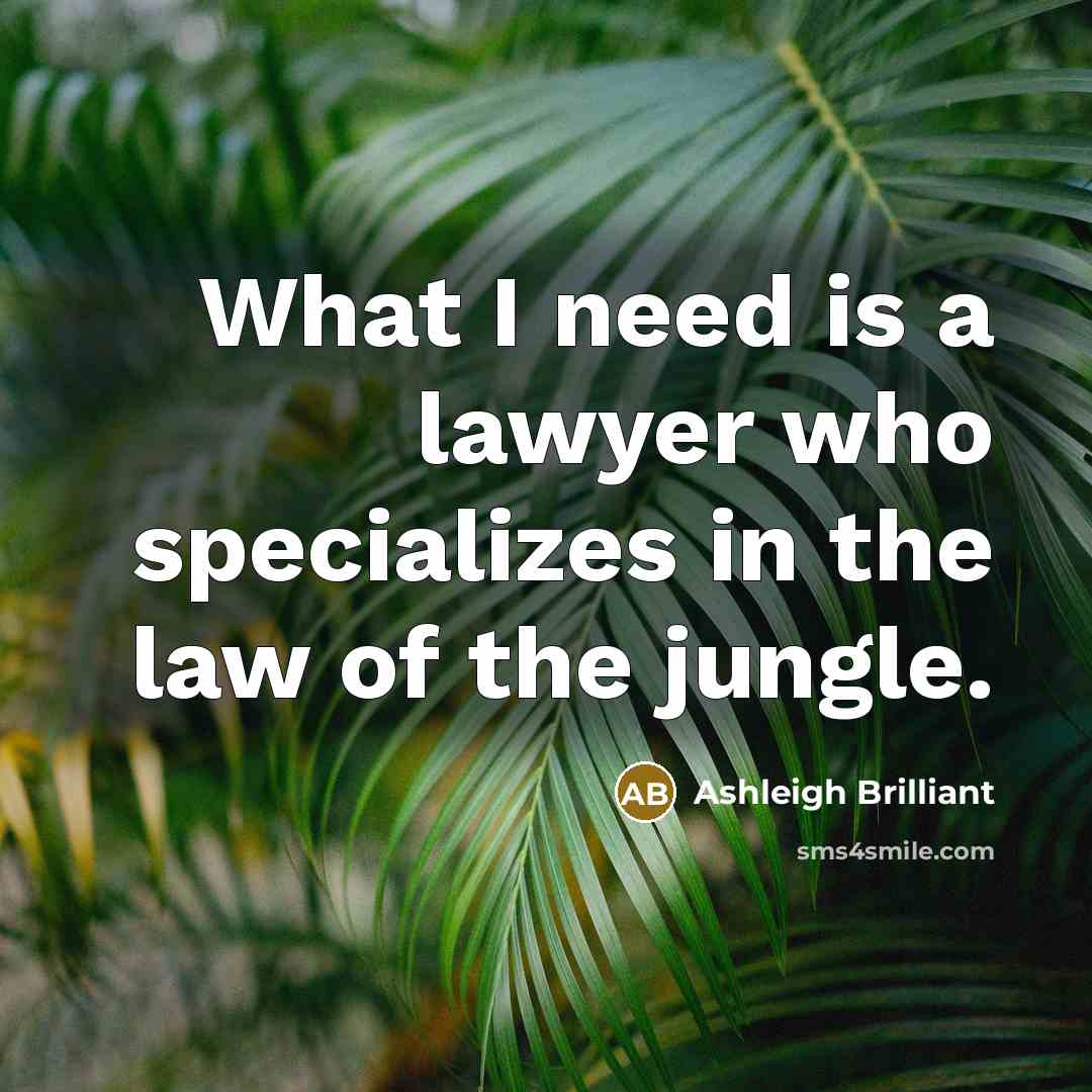 “What I need is a lawyer who specializes in the…” quote by Ashleigh Brilliant