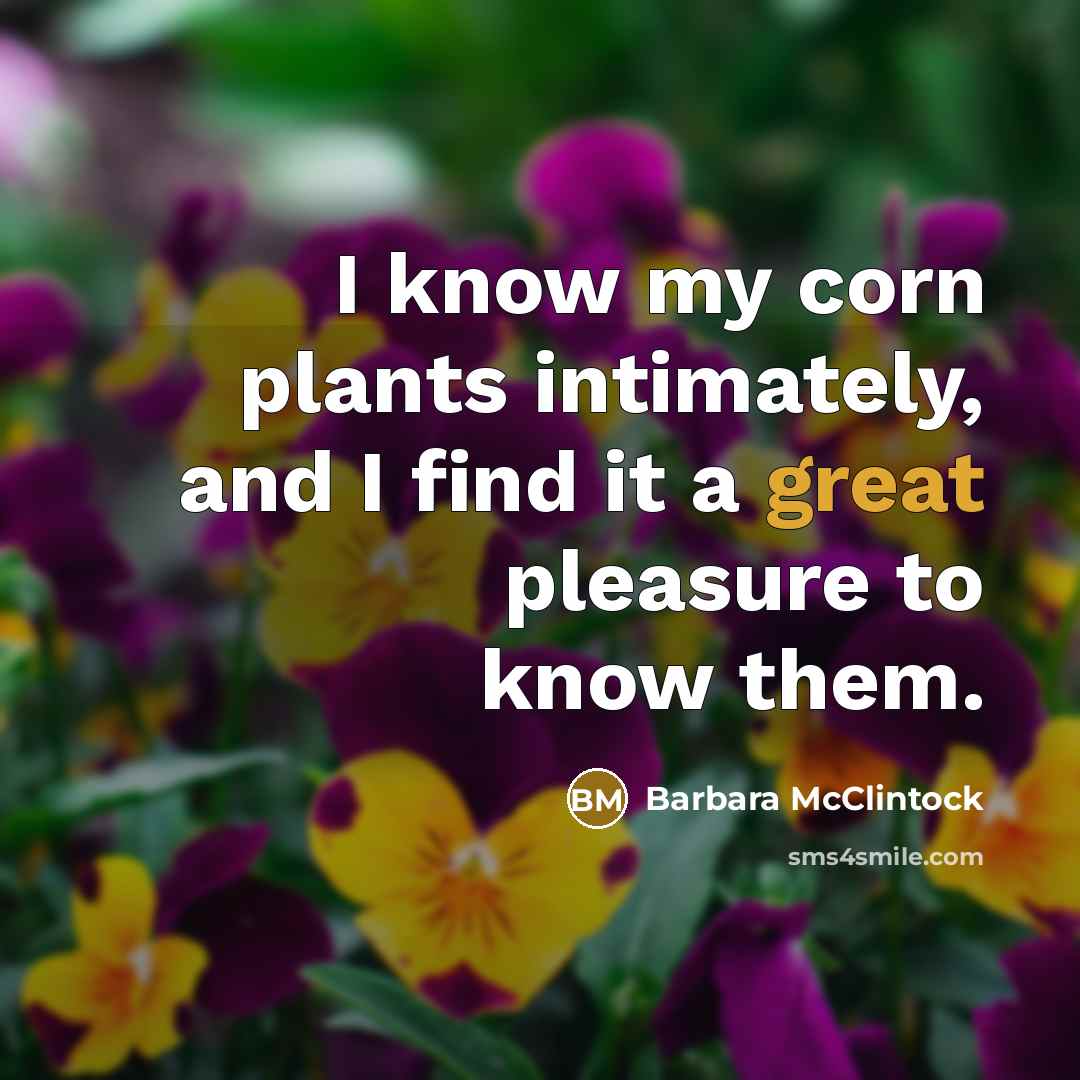 “I know my corn plants intimately, and I find it…” quote by Barbara McClintock