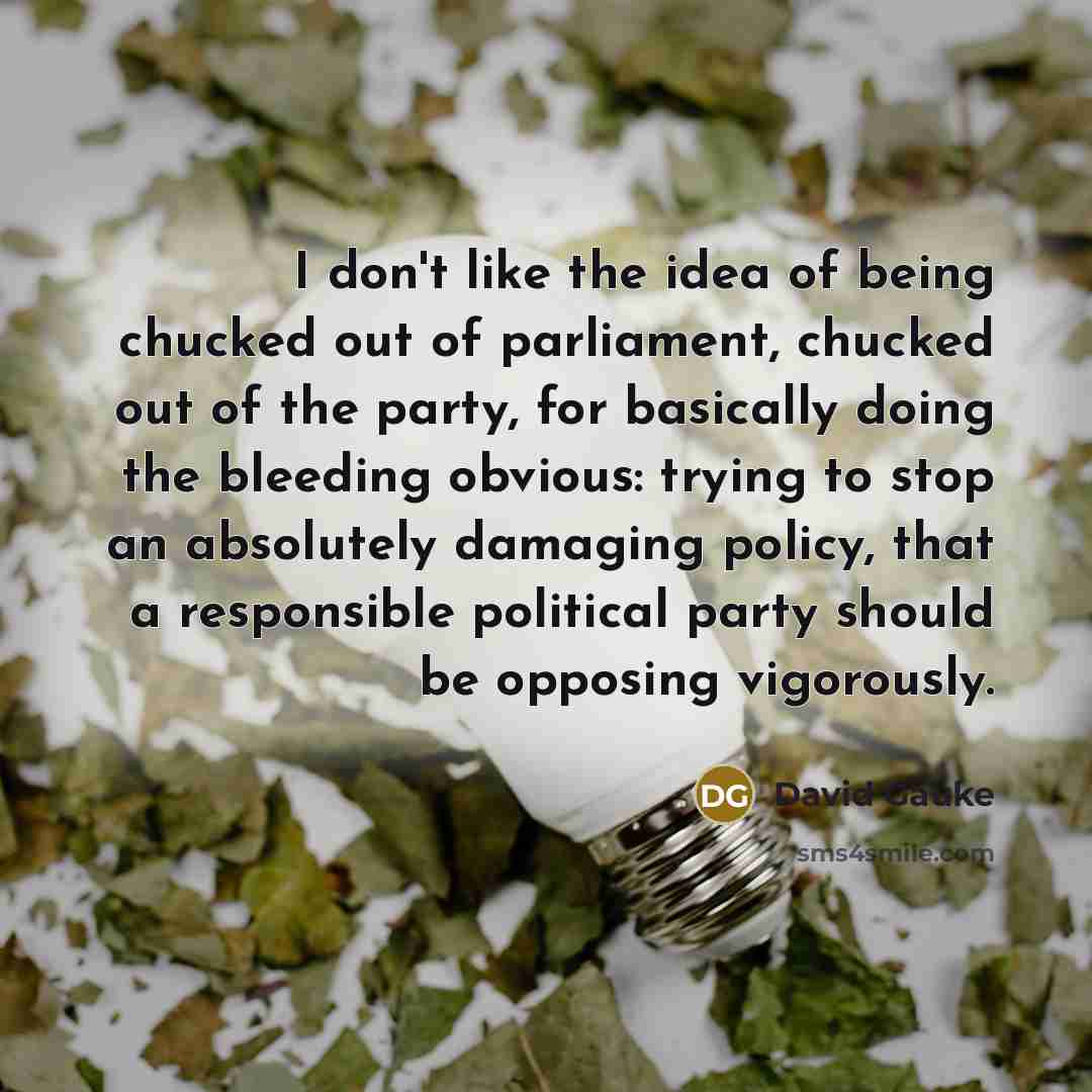“I don't like the idea of being chucked out of…” quote by David Gauke
