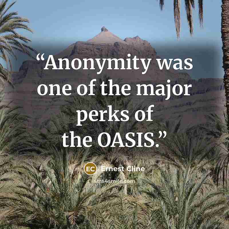 “Anonymity was one of the major perks of the OASIS.” quote by Ernest Cline