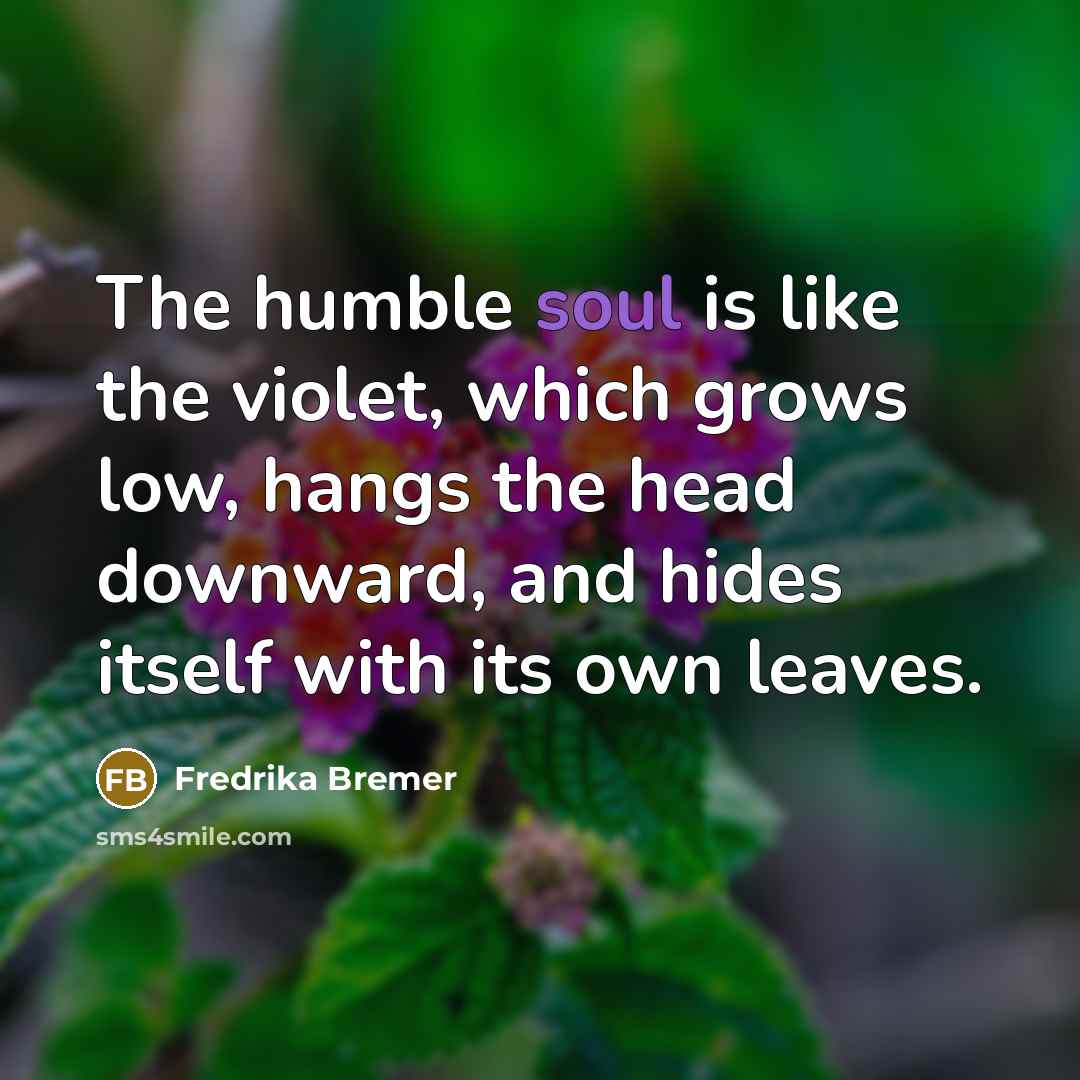 “The humble soul is like the violet, which grows low,…” quote by Fredrika Bremer