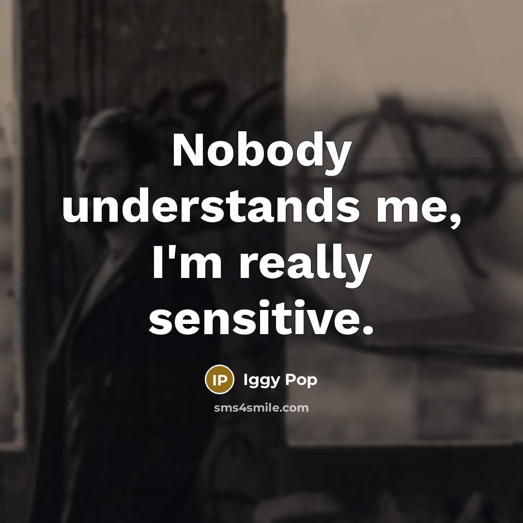 “Nobody understands me, I'm really sensitive.” quote by Iggy Pop