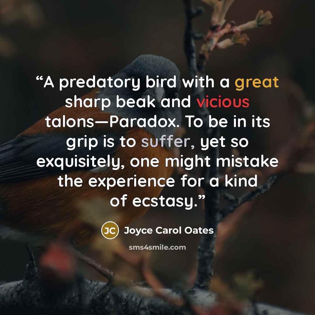 “A predatory bird with a great sharp beak and vicious talons—Paradox. To be in its grip is to suffer, yet so exquisitely, one might mistake the experience for a kind of ecstasy.” quote by Joyce Carol Oates