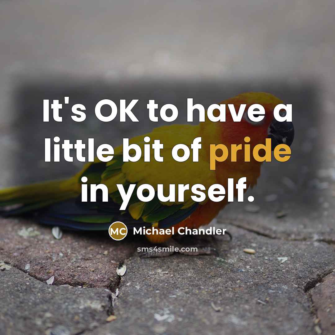 “It's OK to have a little bit of pride in…” quote by Michael Chandler