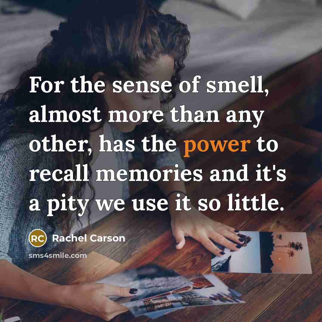 “For the sense of smell, almost more than any other,…” quote by Rachel Carson
