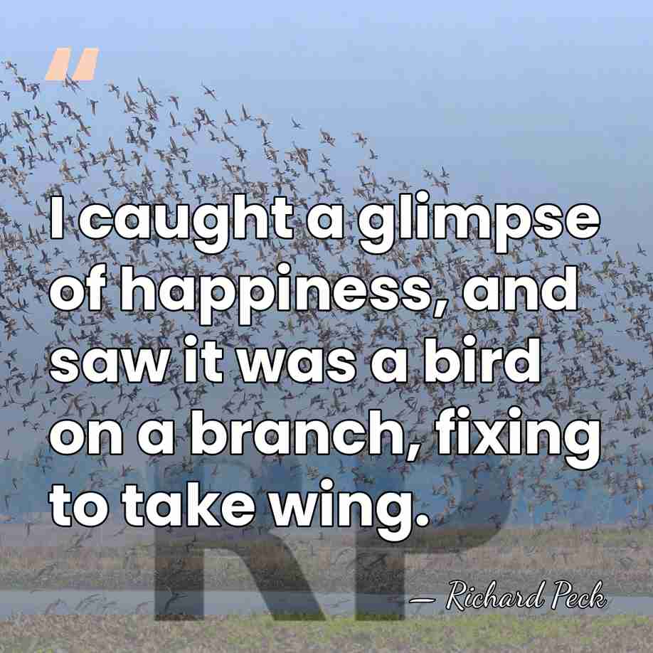 I caught a glimpse of happiness, and saw it was a bird&hellip; - Richard Peck