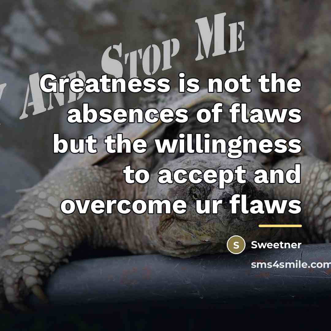“Greatness is not the absences of flaws but the willingness…” quote by Sweetner
