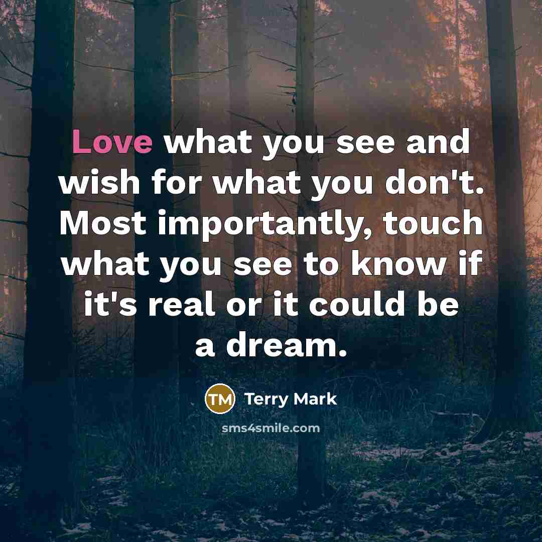 “Love what you see and wish for what you don't.…” quote by Terry Mark