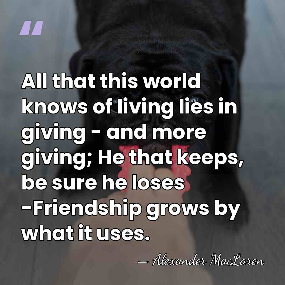 All that this world knows of living lies in giving - and&hellip; - Alexander MacLaren