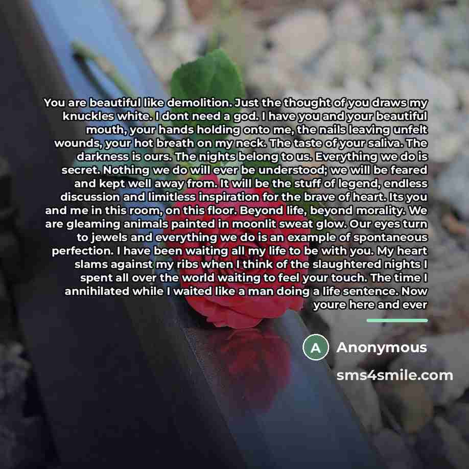 “You are beautiful like demolition. Just the thought of you…” quote by Anonymous