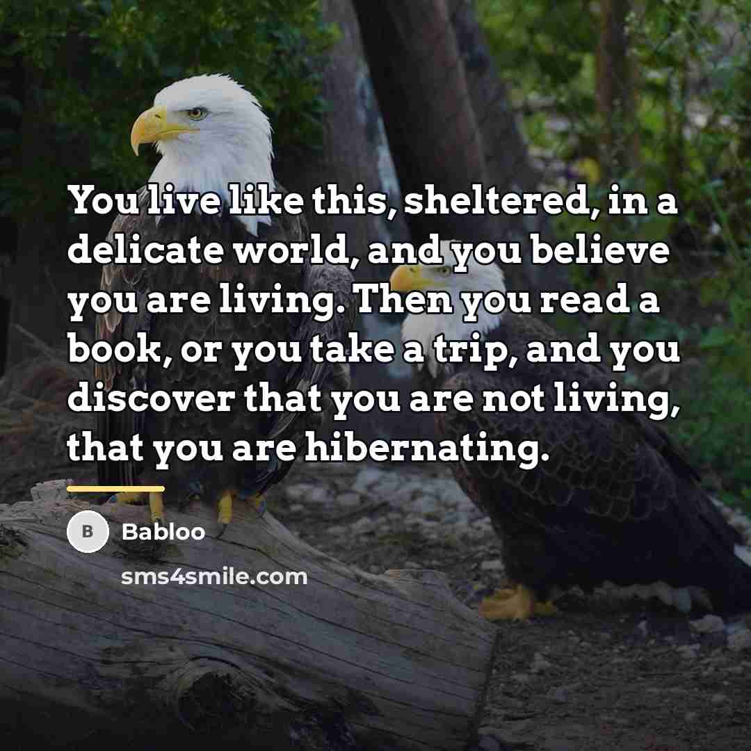 “You live like this, sheltered, in a delicate world, and…” quote by Babloo
