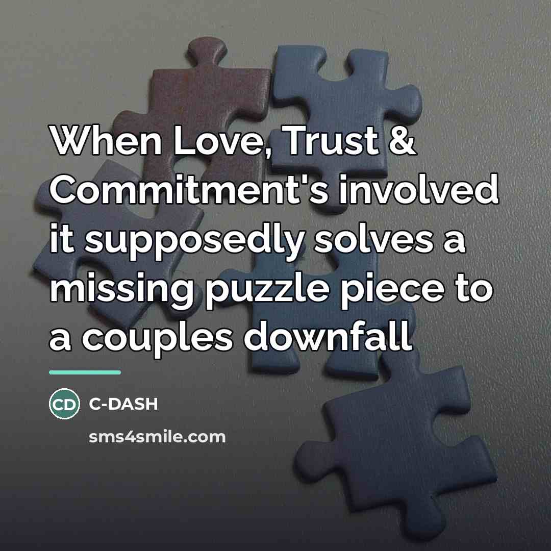 “When Love, Trust & Commitment's involved it supposedly solves a…” quote by C-DASH