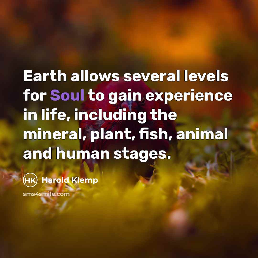 “Earth allows several levels for Soul to gain experience in…” quote by Harold Klemp
