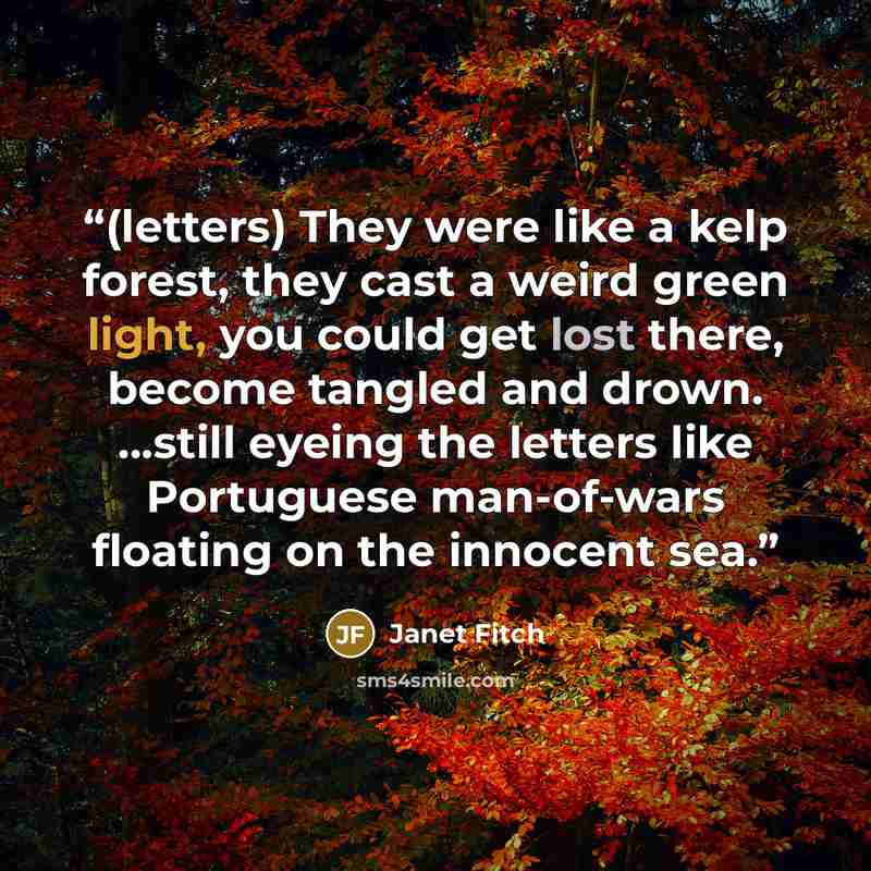 “(letters) They were like a kelp forest, they cast a weird green light, you could get lost there, become tangled and drown. ...still eyeing the letters like Portuguese man-of-wars floating on the innocent sea.” quote by Janet Fitch