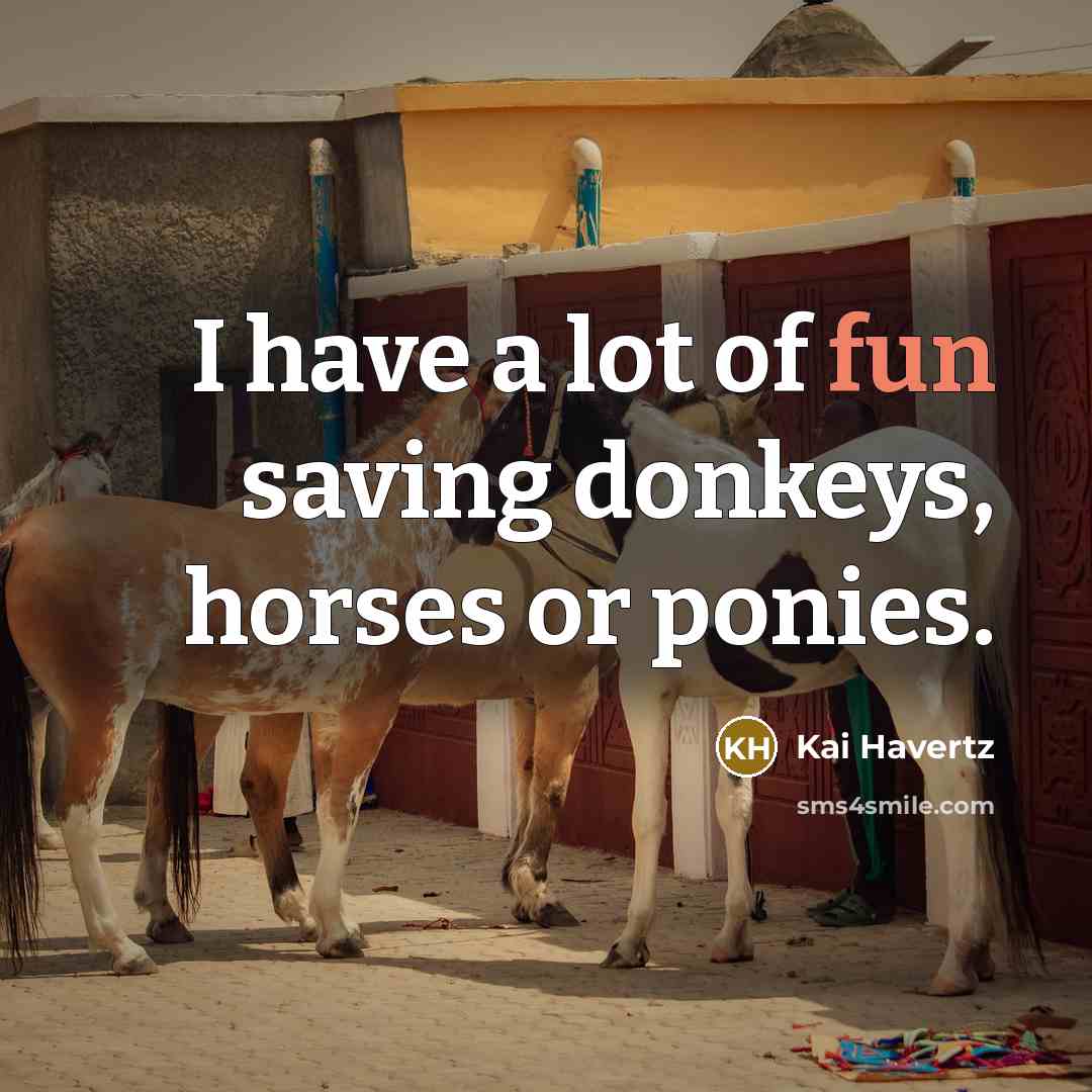 “I have a lot of fun saving donkeys, horses or…” quote by Kai Havertz