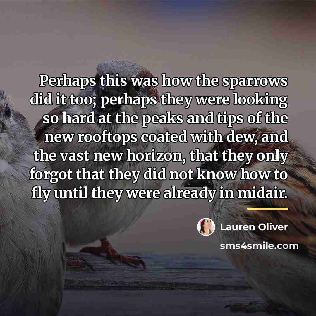 “Perhaps this was how the sparrows did it too; perhaps…” quote by Lauren Oliver