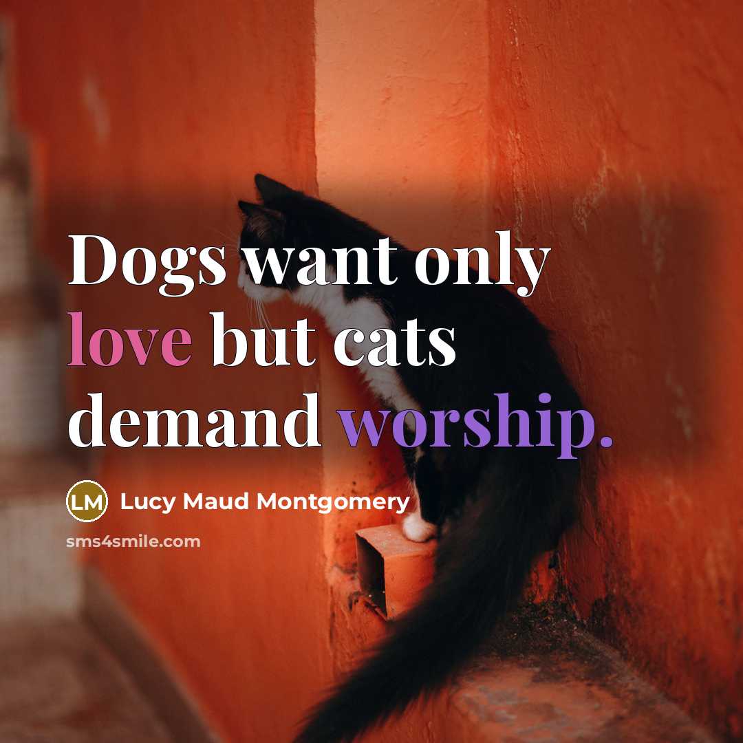 “Dogs want only love but cats demand worship.…” quote by Lucy Maud Montgomery