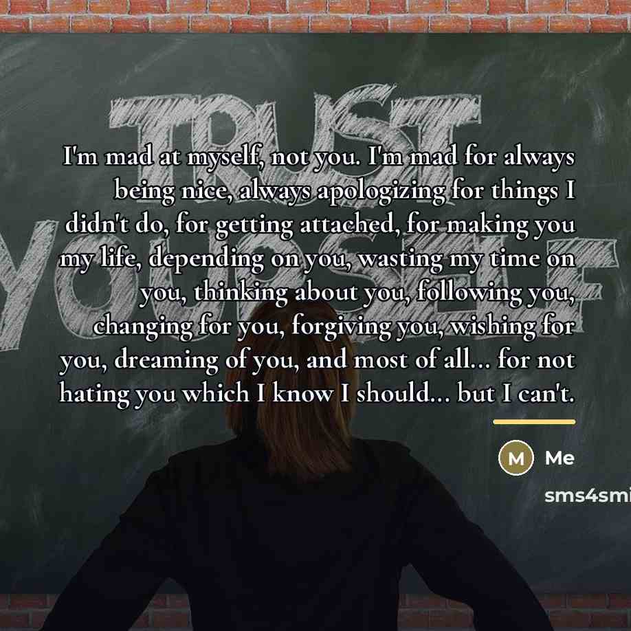 “I'm mad at myself, not you. I'm mad for always…” quote by Me
