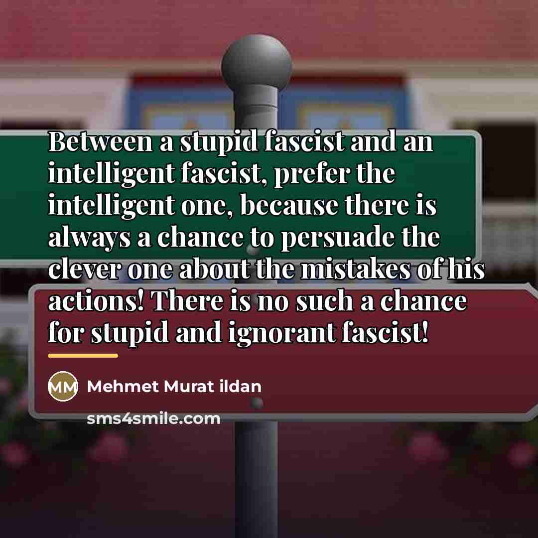 “Between a stupid fascist and an intelligent fascist, prefer the…” quote by Mehmet Murat Ildan