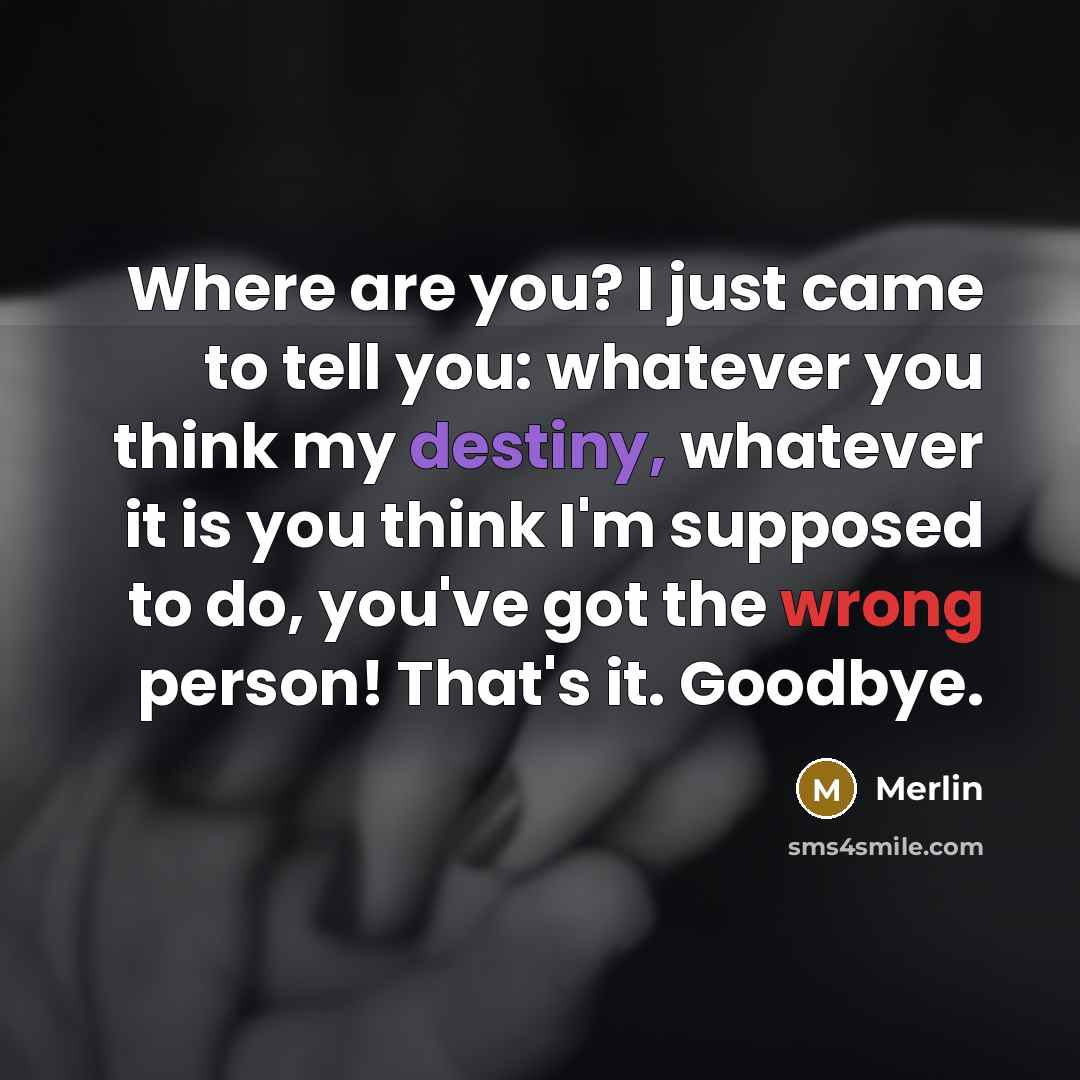 “Where are you? I just came to tell you: whatever…” quote by Merlin