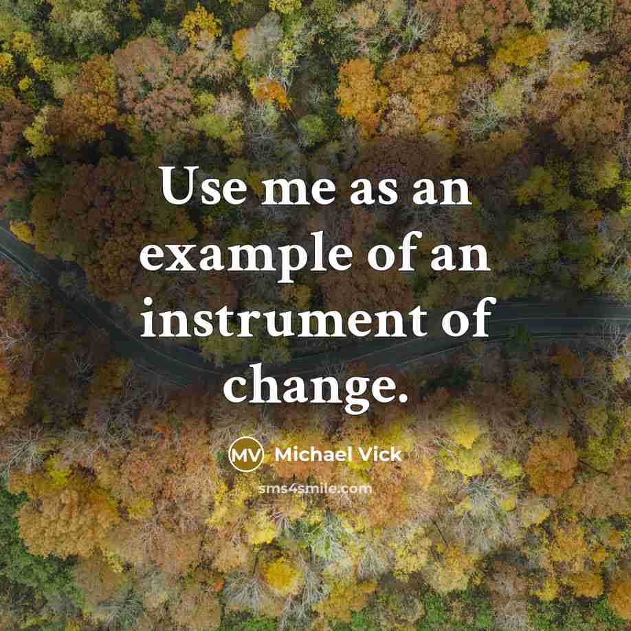 “Use me as an example of an instrument of change.…” quote by Michael Vick