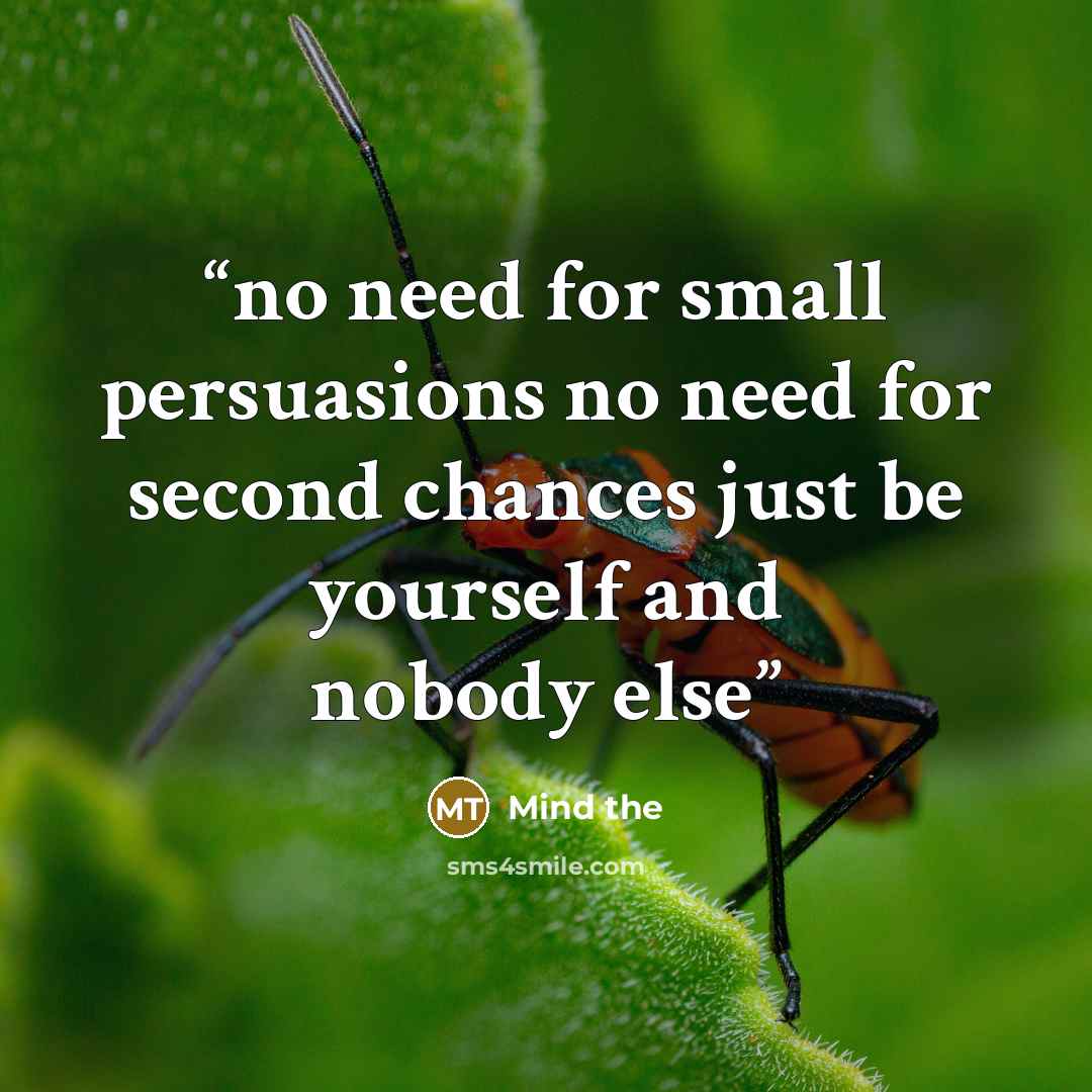 “no need for small persuasions no need for second chances just be yourself and nobody else” quote by Mind the