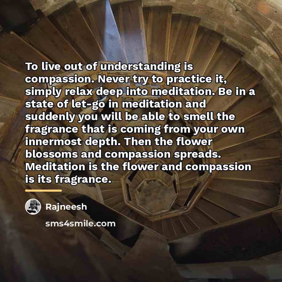 “To live out of understanding is compassion. Never try to…” quote by Rajneesh
