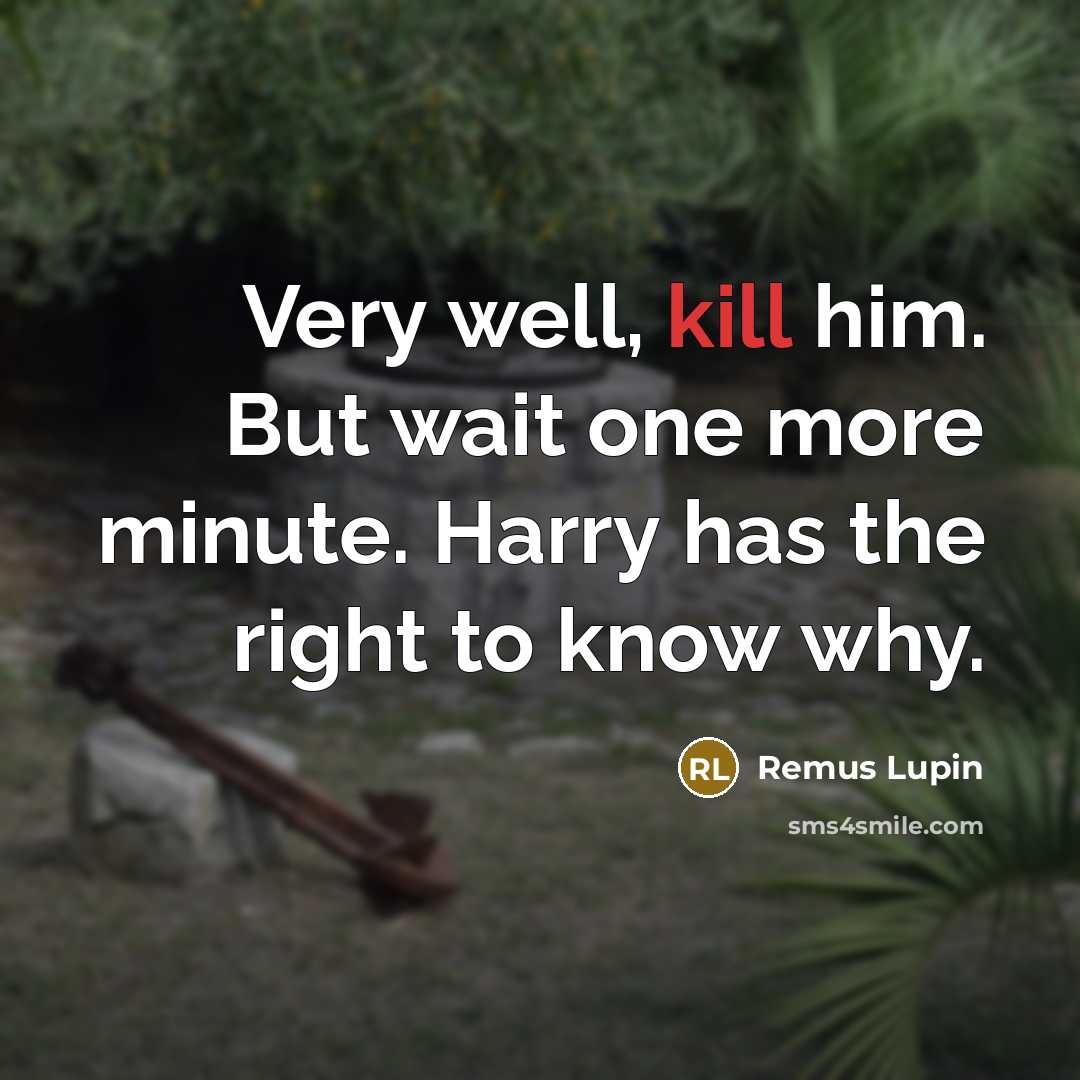 “Very well, kill him. But wait one more minute. Harry…” quote by Remus Lupin