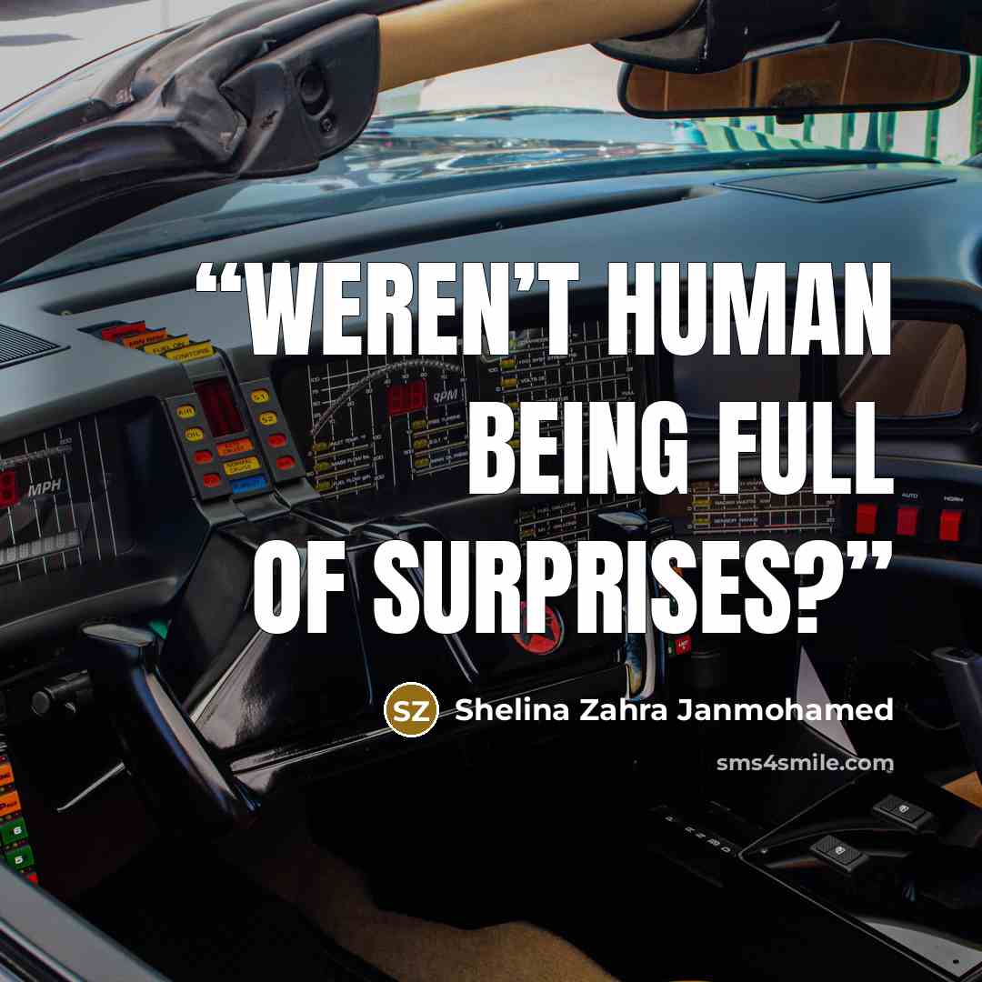 “Weren’t human being full of surprises?” quote by Shelina Zahra Janmohamed