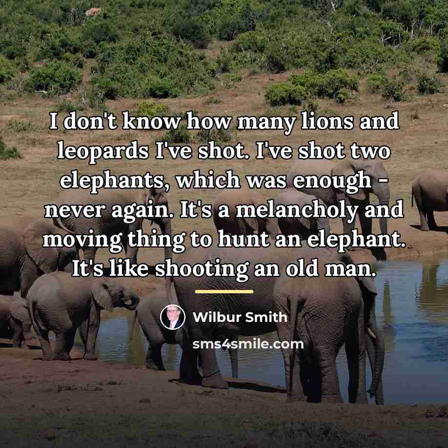 “I don't know how many lions and leopards I've shot.…” quote by Wilbur Smith