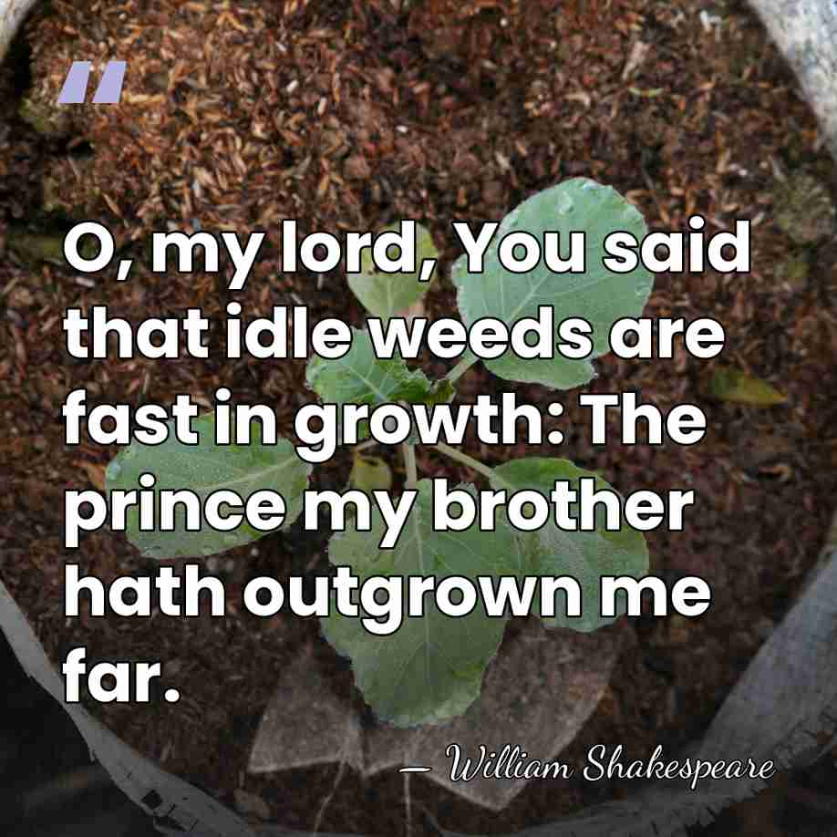 O, my lord, You said that idle weeds are fast in growth:&hellip; - William Shakespeare