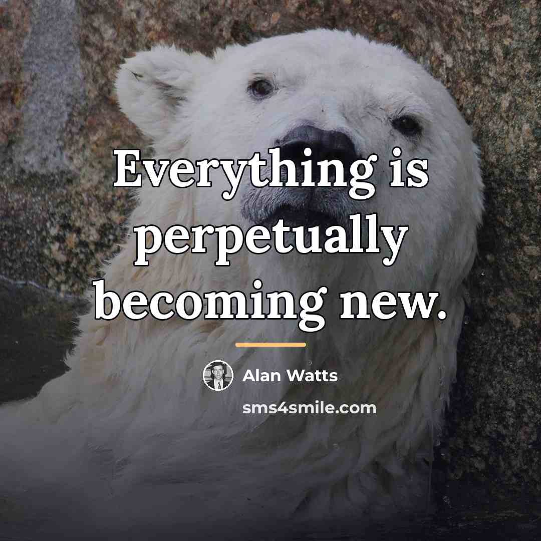 “Everything is perpetually becoming new.…” quote by Alan Watts