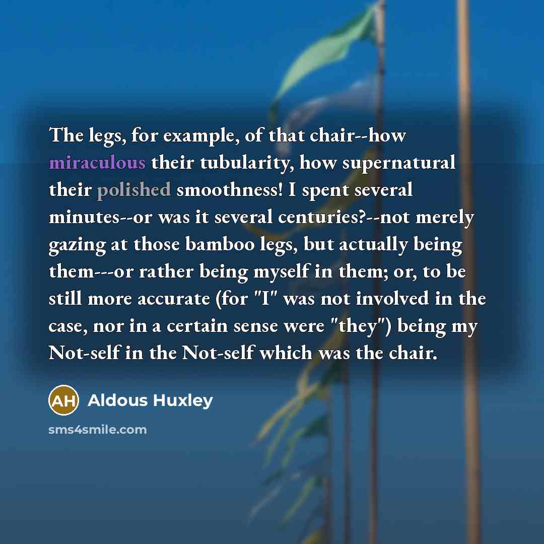 “The legs, for example, of that chair--how miraculous their tubularity,…” quote by Aldous Huxley