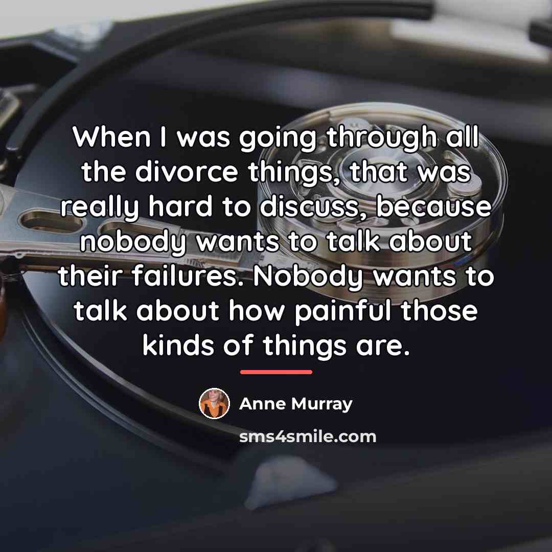“When I was going through all the divorce things, that…” quote by Anne Murray