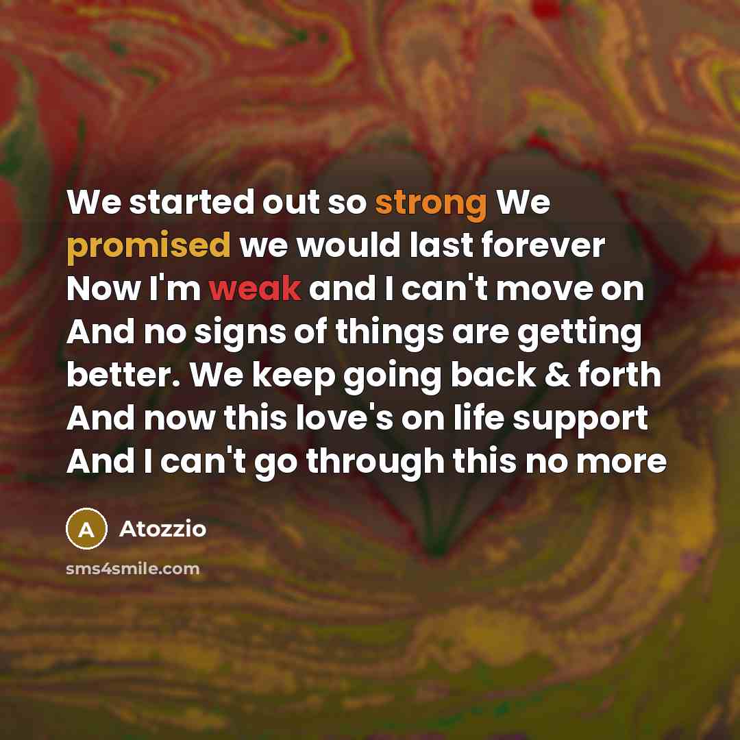 “We started out so strong We promised we would last forever Now I'm weak and I can't move on And no signs of things are getting better. We keep going back & forth And now this love's on life support And I can't go through this no more” quote by Atozzio