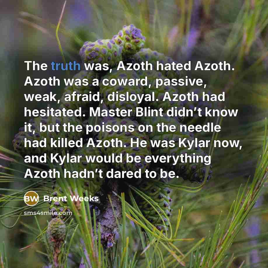 “The truth was, Azoth hated Azoth. Azoth was a coward,…” quote by Brent Weeks