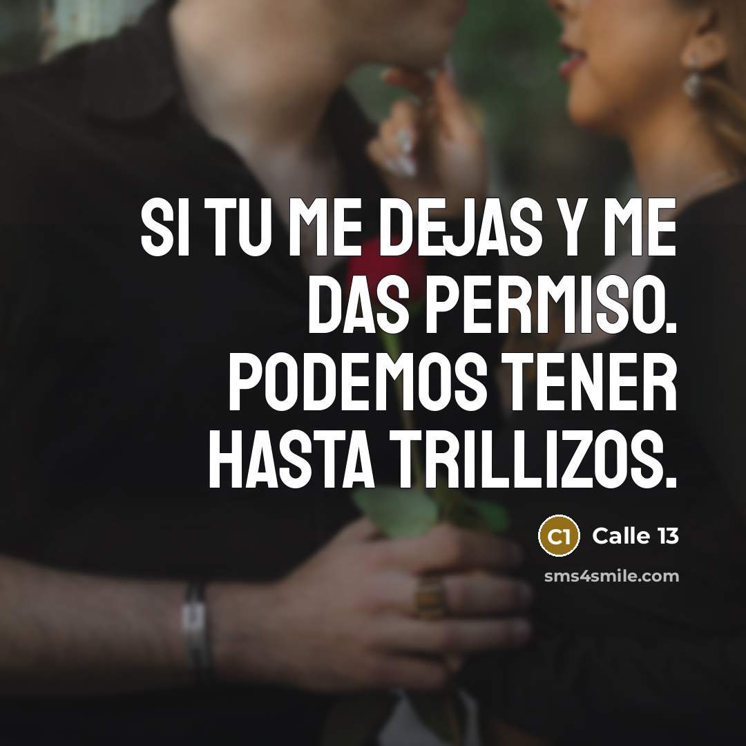 “Si tu me dejas y me das permiso. Podemos tener hasta trillizos.” quote by Calle 13