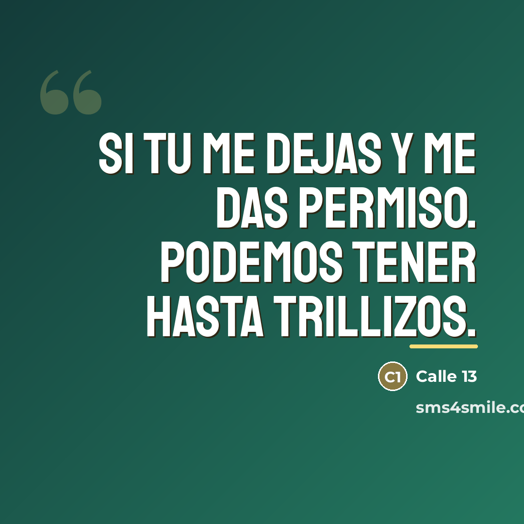 “Si tu me dejas y me das permiso. Podemos tener…” quote by Calle 13